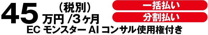 料金プラン495,000円(税込)/3ヶ月