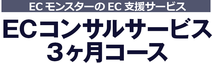 ECモンスターの支援サービス　ECコンサルサービス3ヶ月コース